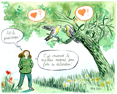 calendrier BD bande dessinée ADAGP 2025 avril impots déclaration revenus auteur autrice professionnel