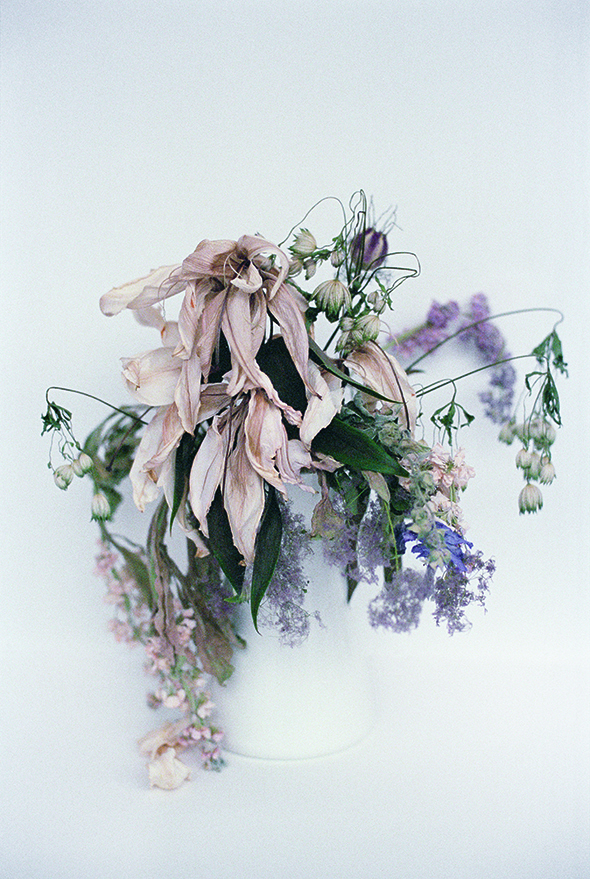 Anne lise broyer